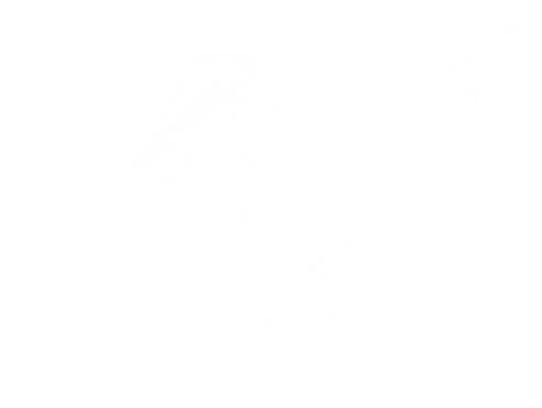 AeroPhotos